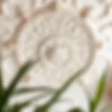 Elegant plaster ceiling design showcasing intricate patterns