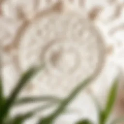 Elegant plaster ceiling design showcasing intricate patterns