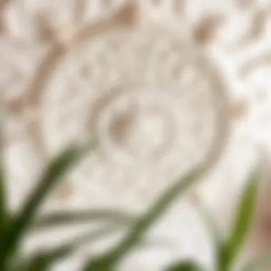 Elegant plaster ceiling design showcasing intricate patterns