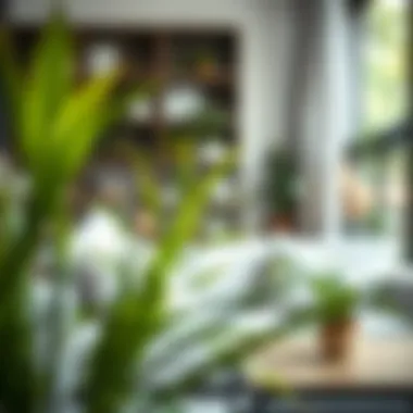 Enhancing Home Serenity with Greenery Artistic arrangement of thin-leaved plants enhancing home decor