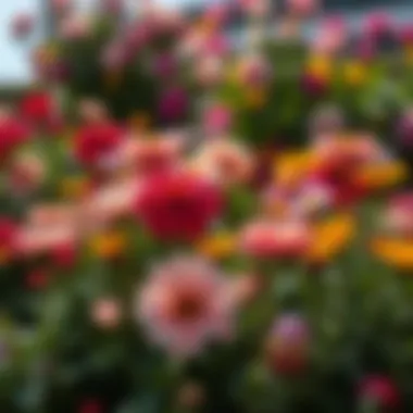 Diversity in Bloom A diverse array of flowers basking in sunlight