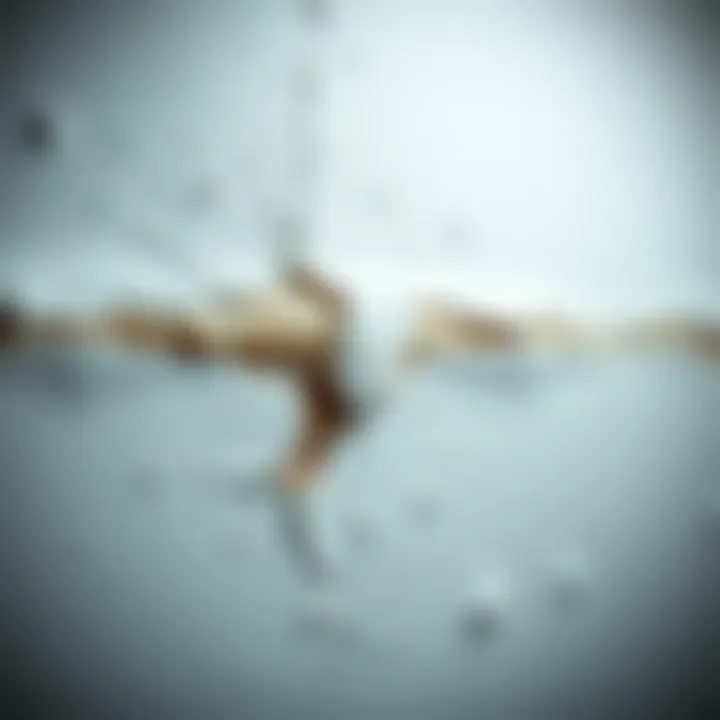 Surface Damage from Adhesive Close-up of a surface affected by frozen adhesive