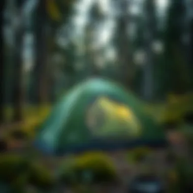 A durable Dunlop tent set up in a scenic forest