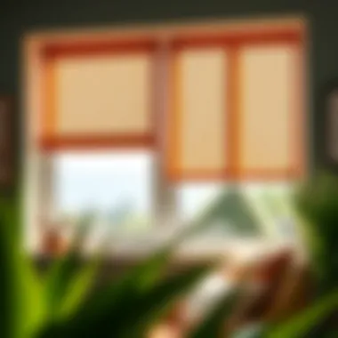 Creative design ideas for custom window shades