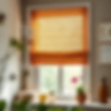 Final installation of home-made window shades