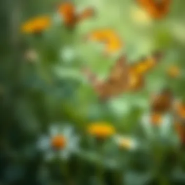 Butterflies in their natural habitat, showcasing their lifecycle