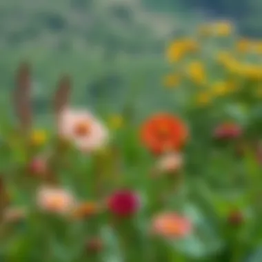 Flowers in Nature A serene landscape featuring a variety of flowering plants flourishing in their natural habitat.