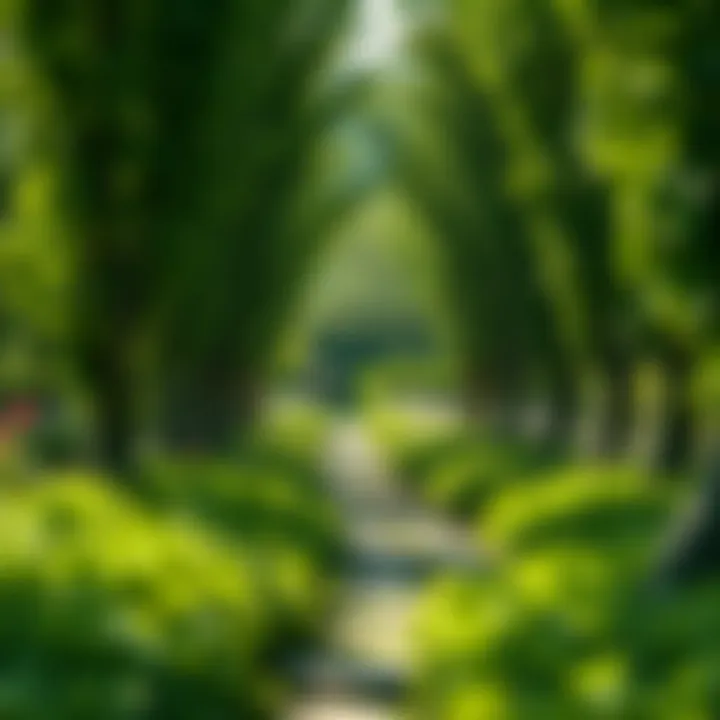 A serene garden pathway leading through lush greenery.