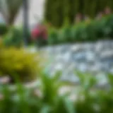 Elegant stone garden wall design with lush greenery