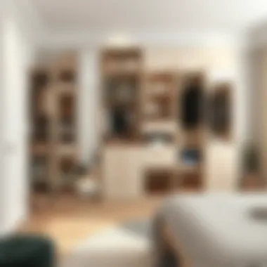 Elegant storage solutions in a stylish dressing room