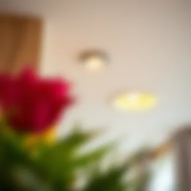 Common Issues with Recessed Lighting Common issues with recessed lighting