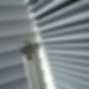 Detailed view of pleated blinds mechanism