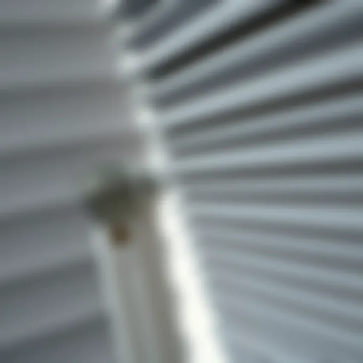 Detailed view of pleated blinds mechanism
