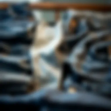 Different types of denim jeans displayed neatly