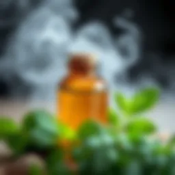 Natural ingredients for odor elimination