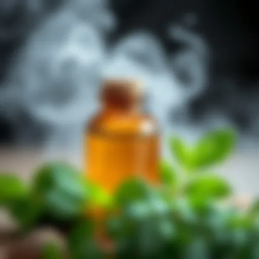 Natural Ingredients for Odor Elimination Natural ingredients for odor elimination