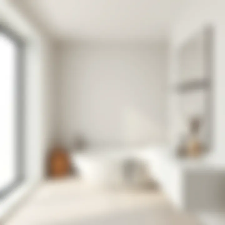 Minimalist bathroom showcasing elegant simplicity