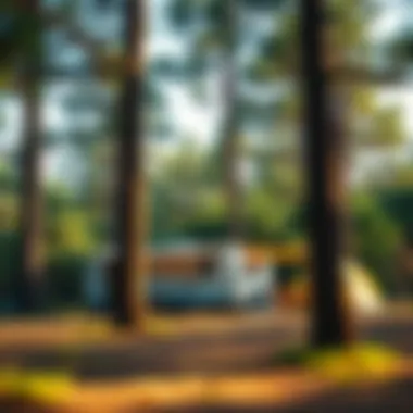 Relaxing atmosphere at a campsite among pine trees