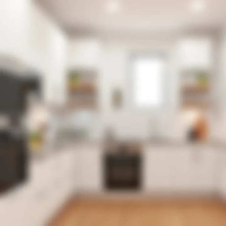 Functional kitchen layout optimizing space and usability.