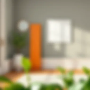 Comparison of various plastic skirting board styles in a decorative setting.