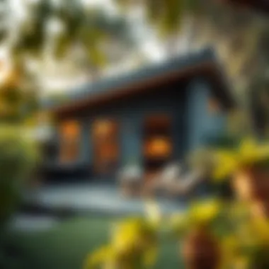 Outdoor Space of Sabit Tiny House Cozy outdoor space of a tiny house surrounded by nature