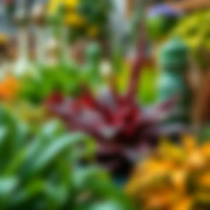 A Colorful Array of Seasonal Greens A Colorful Array of Seasonal Greens