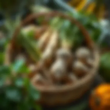 Freshly Harvested Root Vegetables Harvested Root Vegetables in a Basket