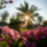 The radiant sun illuminating a vibrant flower garden