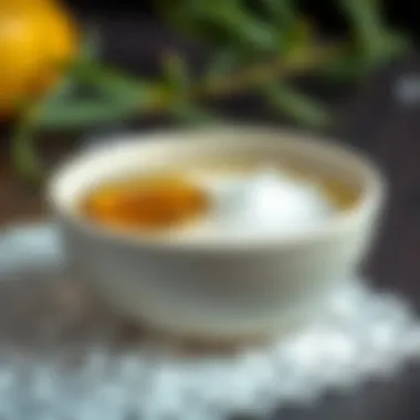 Natural Cleaning Solutions Bowl of olive oil and salt for cleaning