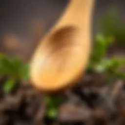 Natural wood spoon with a beautiful grain