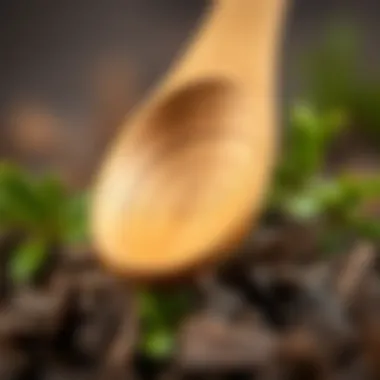 The Beauty of Natural Wood Natural wood spoon with a beautiful grain