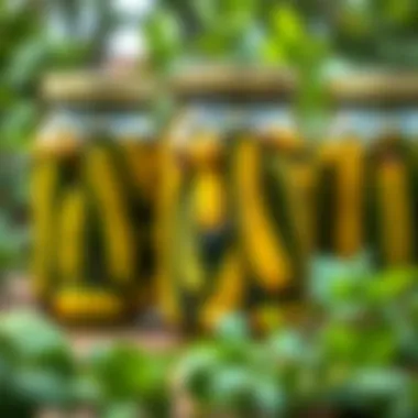 Jars filled with pickles in a natural setting