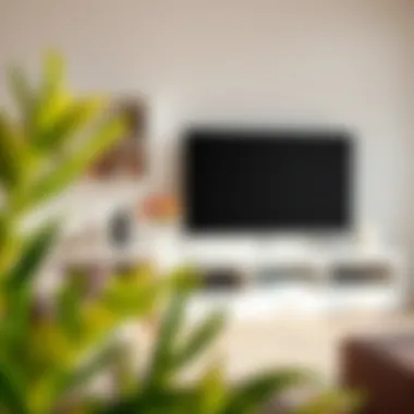 Functional Storage Solutions in TV Units Functional TV unit with storage solutions