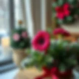 Vibrant Christmas flower in a cozy winter setting