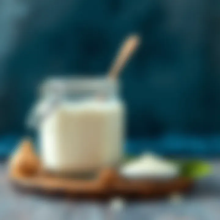 Ingredients used for yogurt fermentation