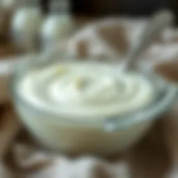 A bowl filled with creamy yogurt showcasing its texture